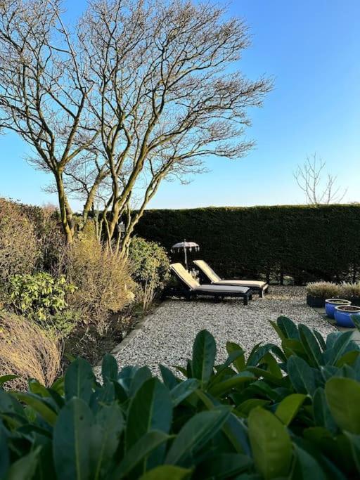 Beachhouse Zonneweelde Noordwijk Kültér fotó